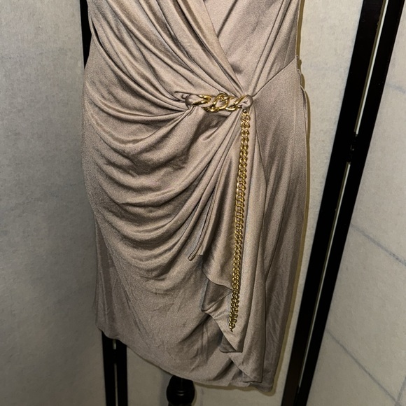 NWOT YOANA BARASCHI DARK BIEGE WITH A HINT OF GOLD MIDI style dress! Size 6! - Picture 4 of 7